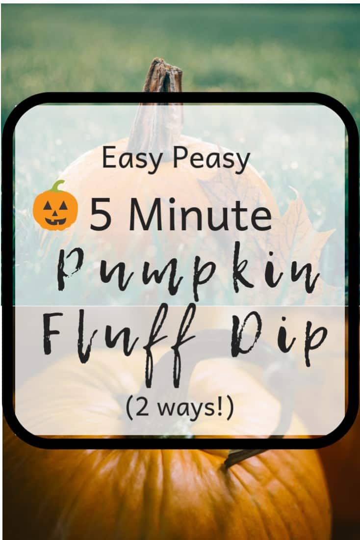 5 Minute Pumpkin Fluff Dip 2 Ways (1)